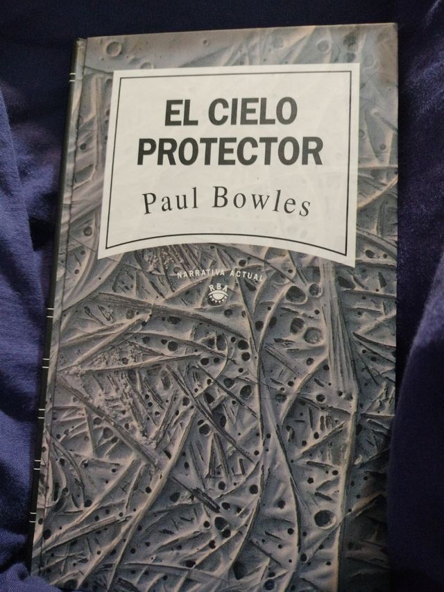 Libro El cielo protector