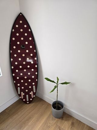 Tabla surf Shortboard EPS 5'10 B.Bugarski.
