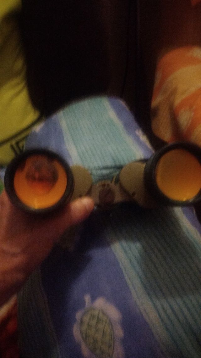Binocular