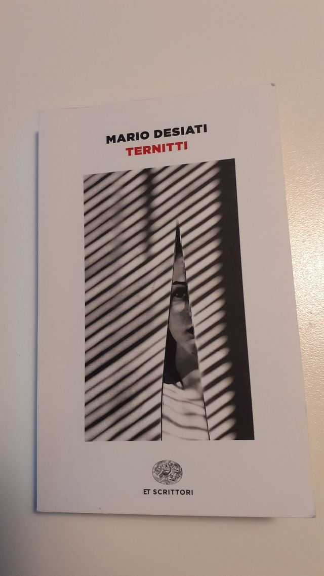 Libro di Mario Desiati "Ternitti"