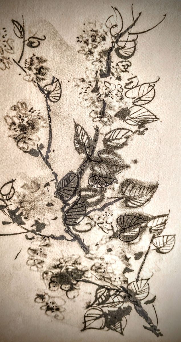 Le più belle storie di animali 1965 Bompiani