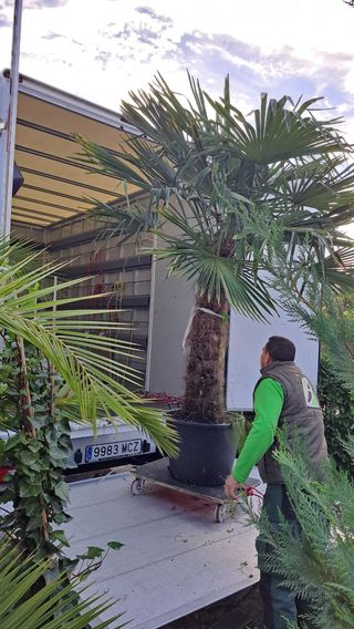 MUDANZAS Y TRANSPORTES 