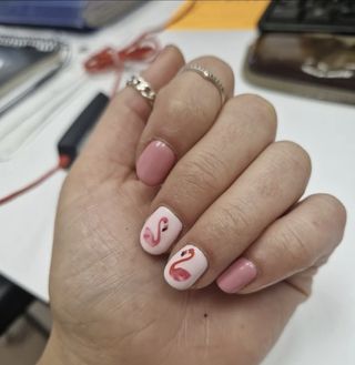 Manicura semipermante de lámpara.Esmaltado de uñas