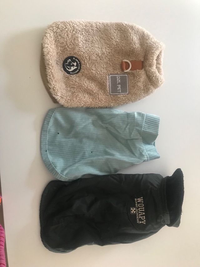 Conjuntos invierno para perritos Tequel
