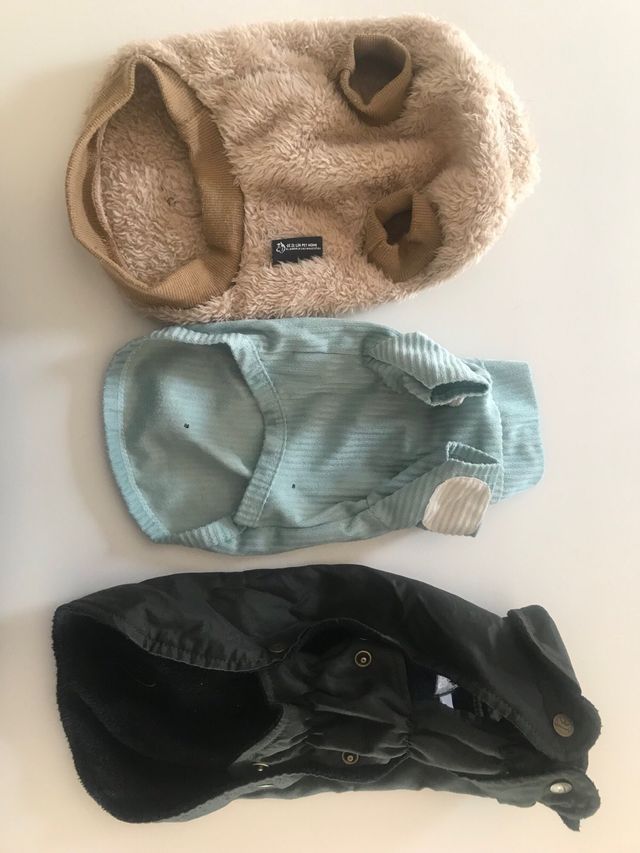 Conjuntos invierno para perritos Tequel