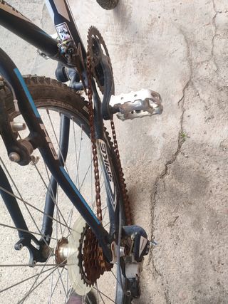 Bicicleta BH Spike