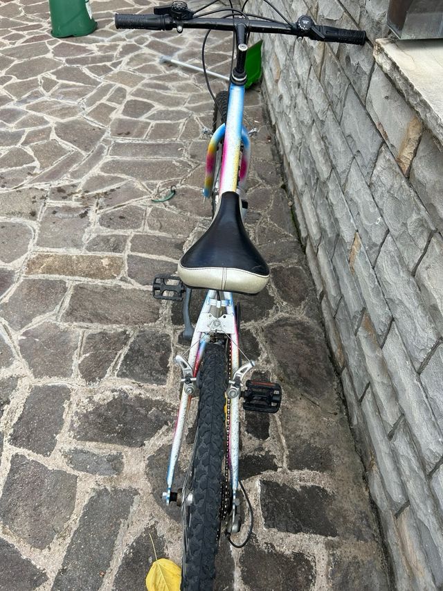 Bicicletta