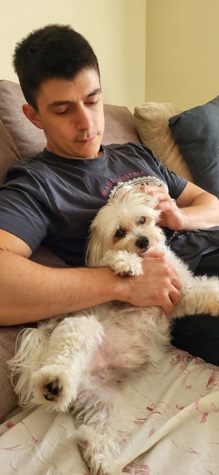 Paseador de perros/cuidador