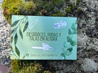 Podas y limpiezas de arboles y parcelas,desbroces