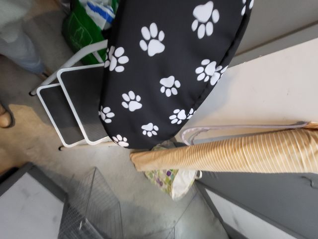 Bolsa mascota