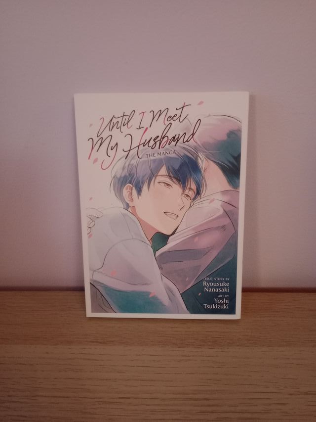 Until I Meet My Husband