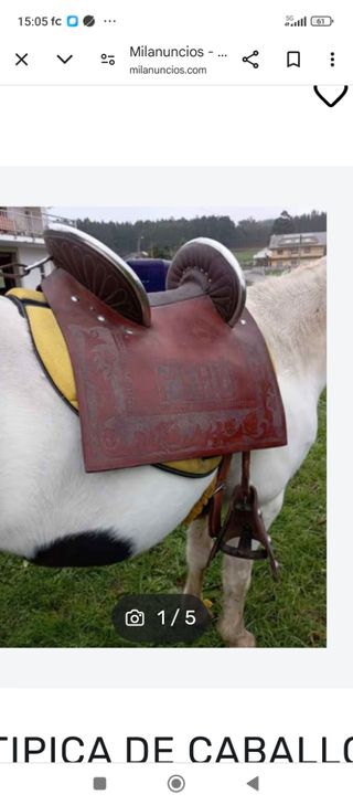 Silla paso fino colombiano 