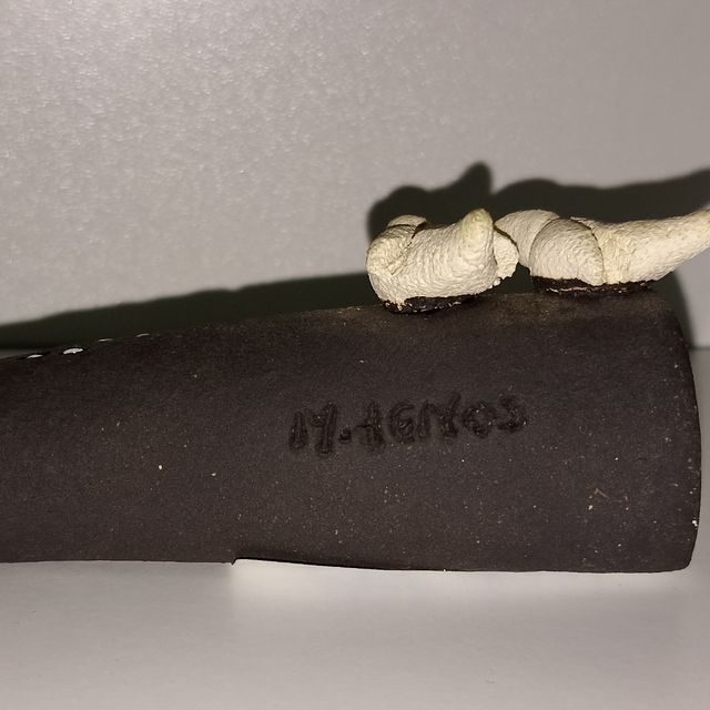 Monje o fraile acostado leyendo