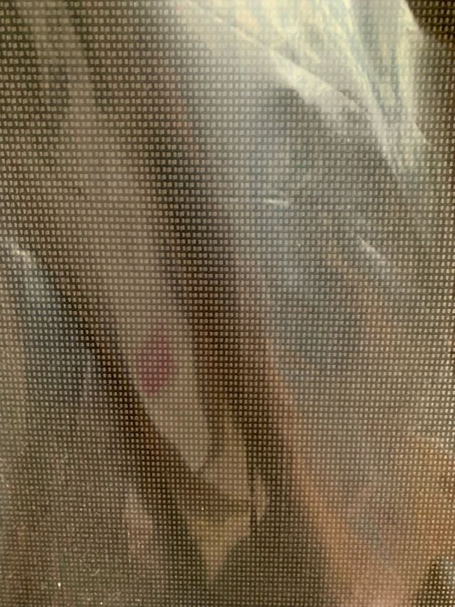 Tumbonas de exterior