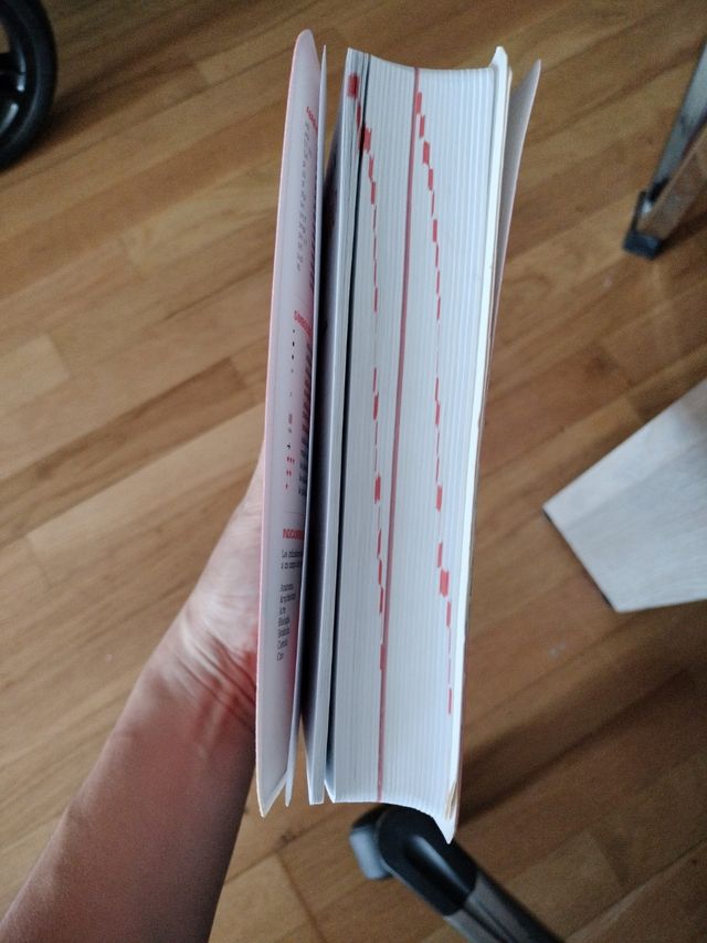 Diccionario pocket español _ingles