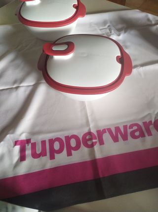 Tupperware Micro-Dual 2,25