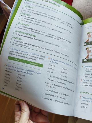 Lengua cuarto primaria 
