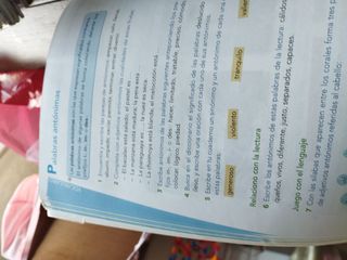 Lengua cuarto primaria 