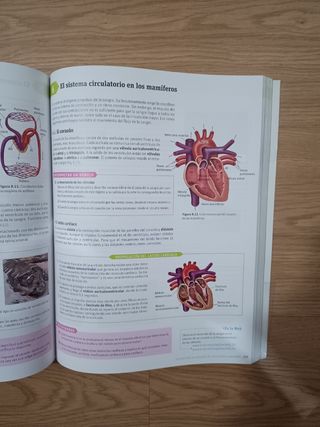 Biología y geología. 1 Bachillerato. Savia (Spanish Edition)