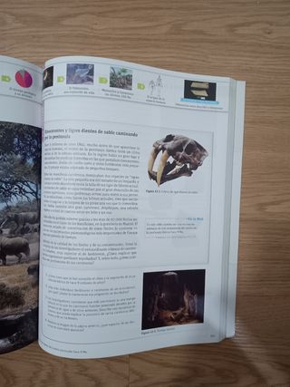 Biología y geología. 1 Bachillerato. Savia (Spanish Edition)