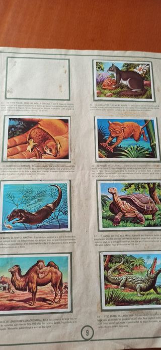 Álbum el más y el menos