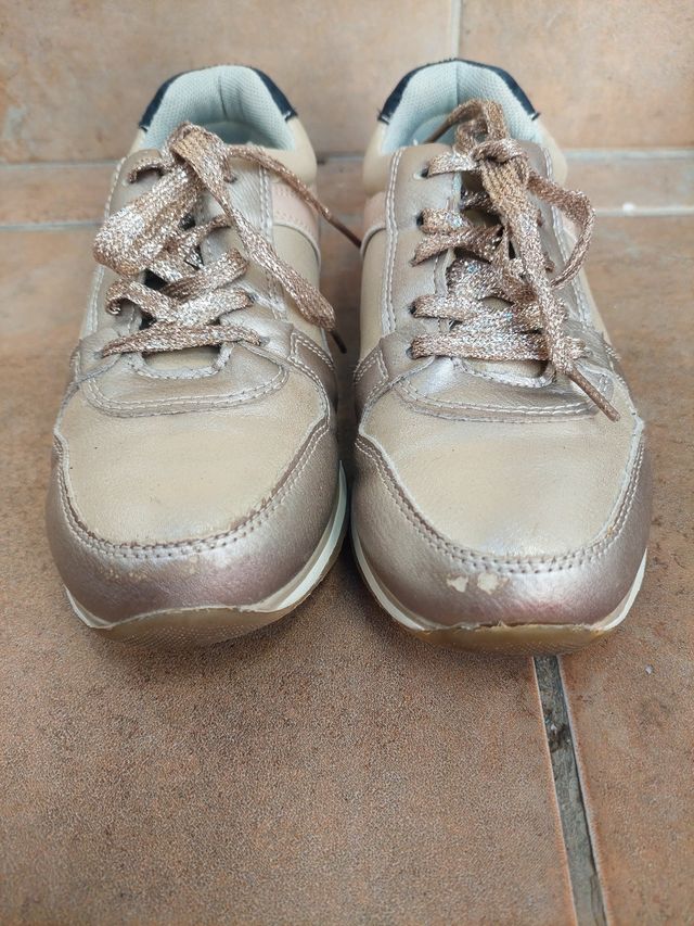 Deportivas  N 33. Vulky