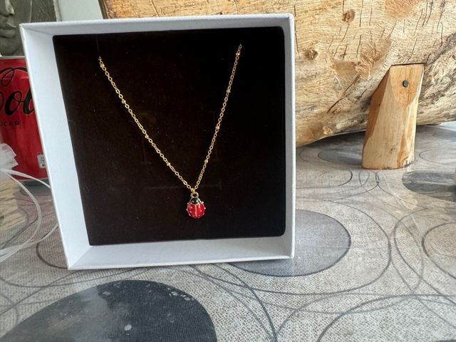 Cadena y colgante bisuteria.