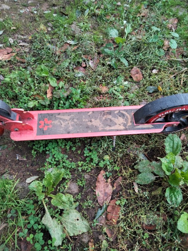 patil Tijuana pregable