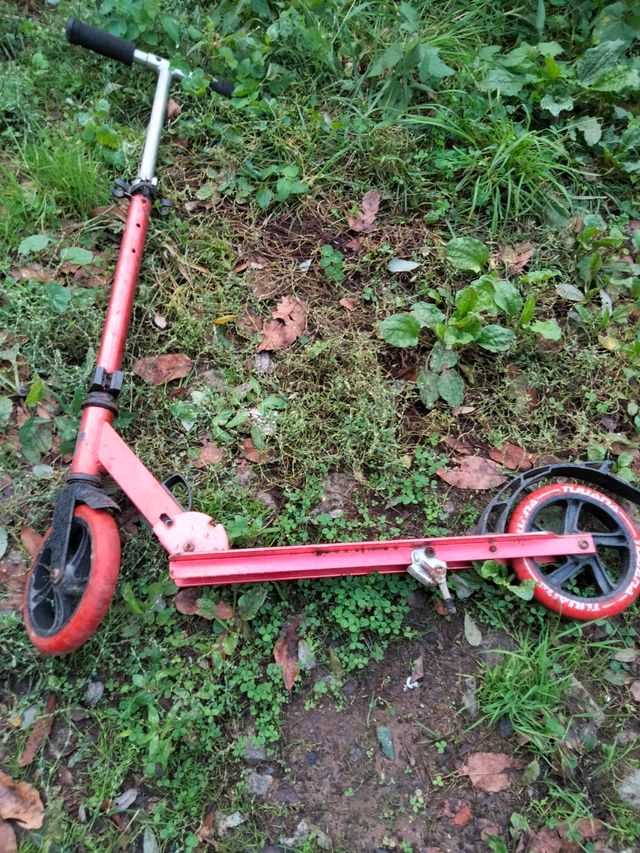 patil Tijuana pregable