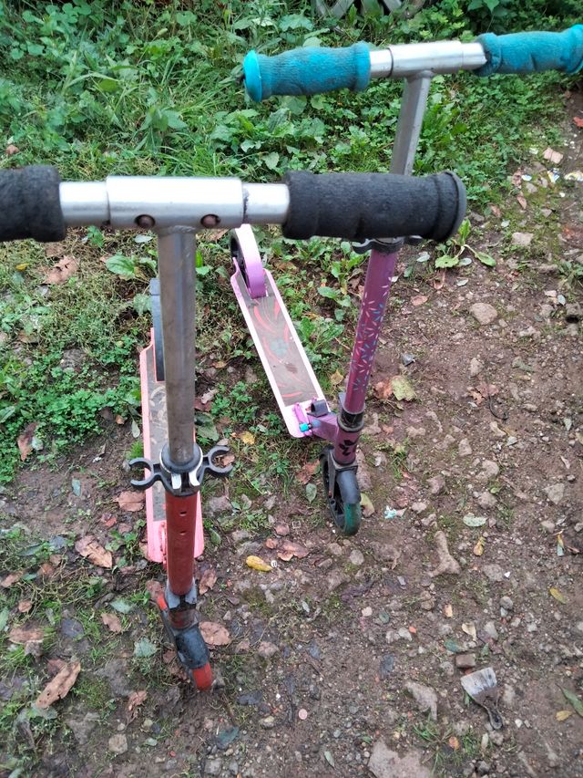 patil Tijuana pregable