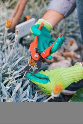 Jardinero particular, Bcn-Costa Brava-La Cerdanya