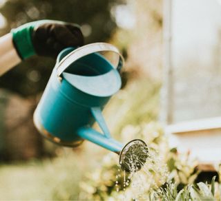 Jardinero particular, Bcn-Costa Brava-La Cerdanya