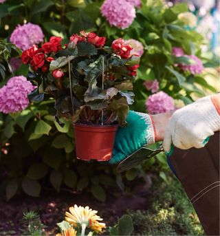 Jardinero particular, Bcn-Costa Brava-La Cerdanya