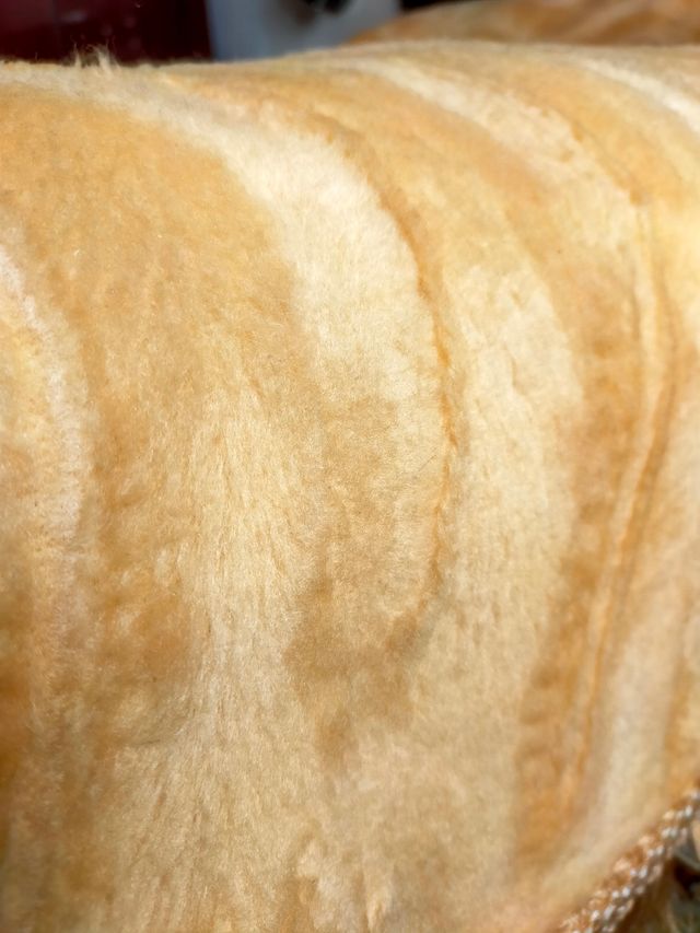 Edredón manta Manterol a estrenar 2x2,40