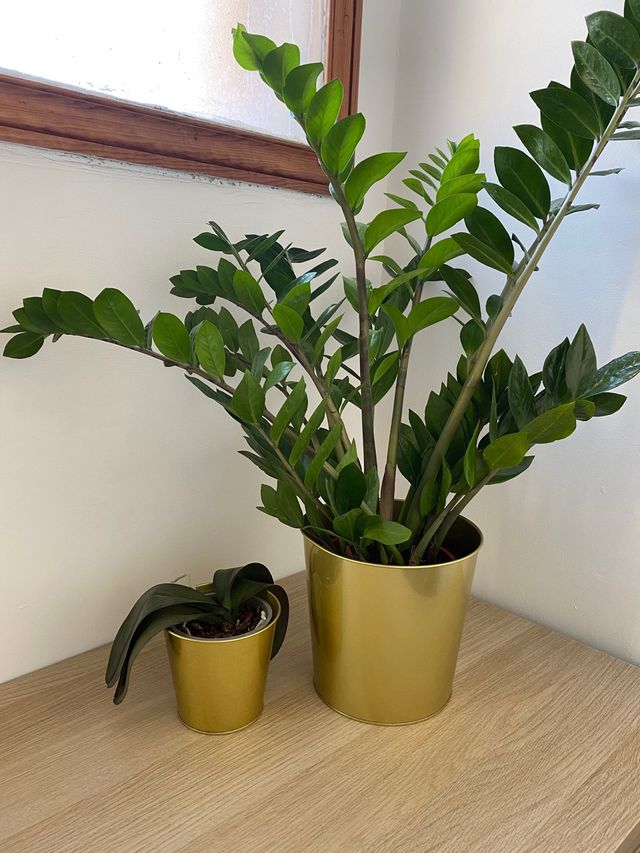 Maceteros color bronce