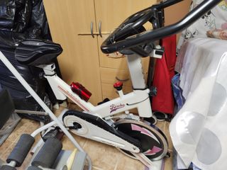 Bicicleta de espinin