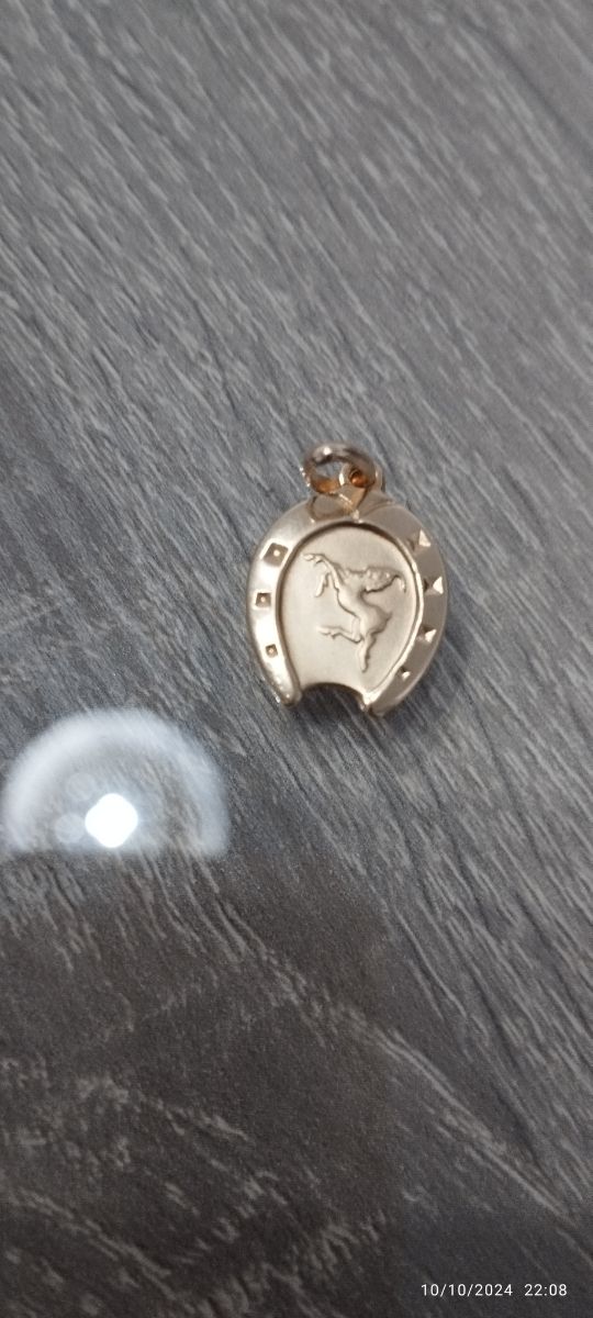 Colgante herradura capricornio