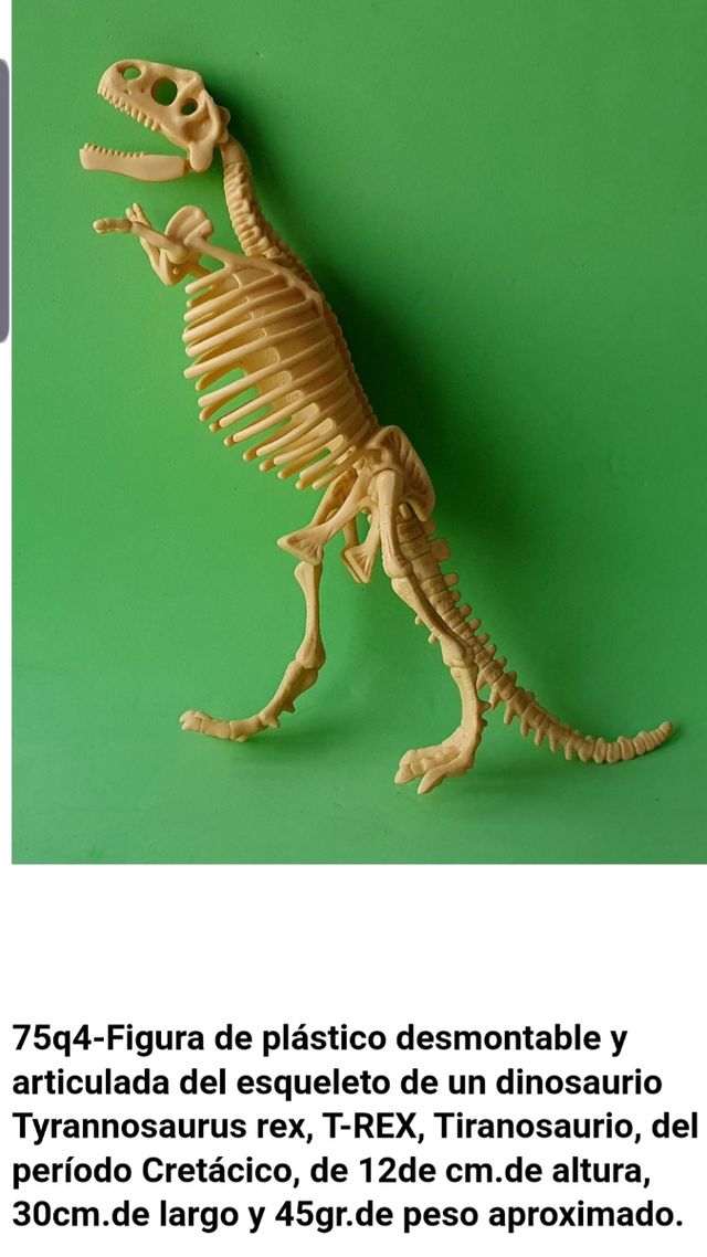 Esqueleto Dinosaurio Dinosaurs