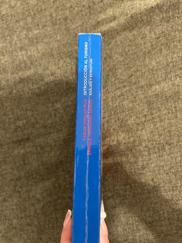 Introducción al turismo: Análisis y estructura