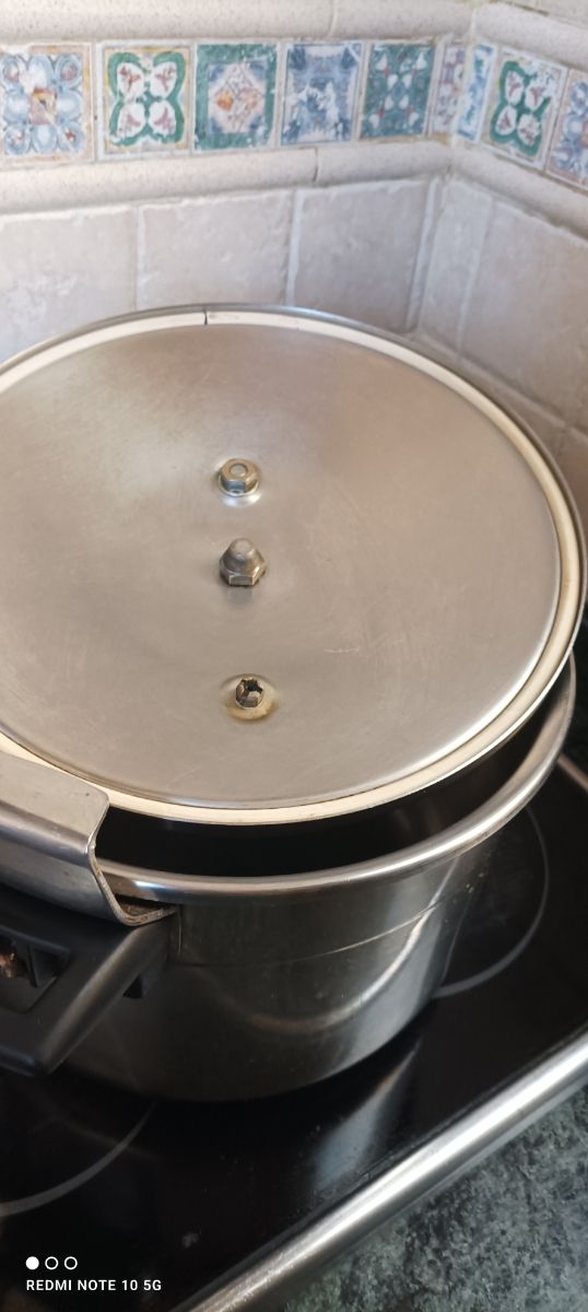 Olla exprés magefesa