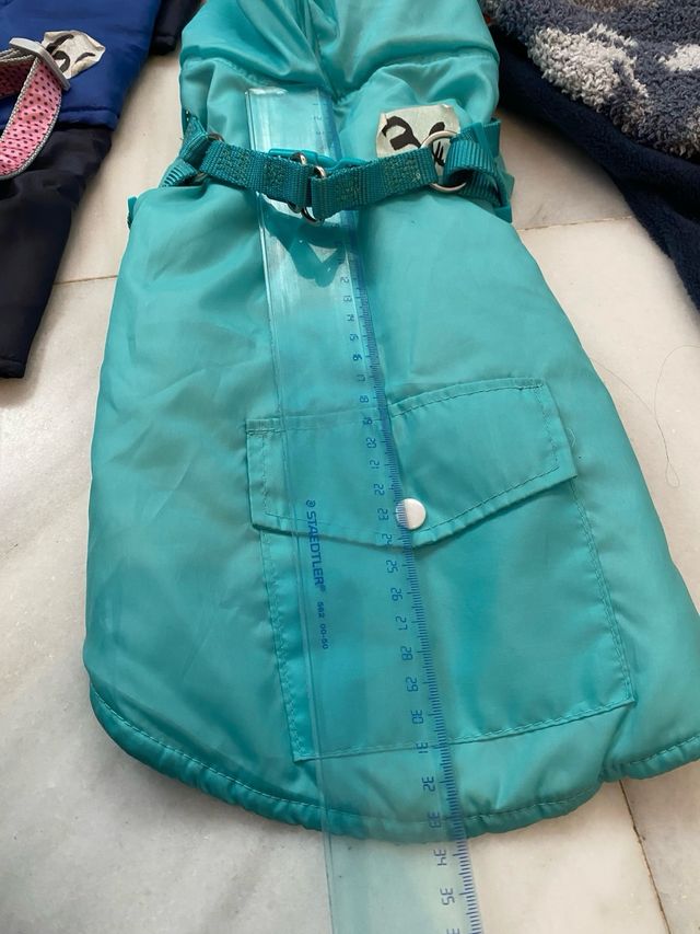 chaqueta, perro pequeño ￼