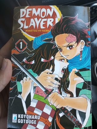 Demon slayer vol 1