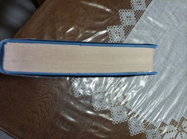 La nave della magia Robin Hobb Borgomago