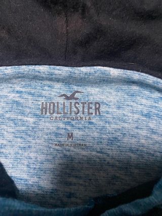 Sudadera con capucha Hollister