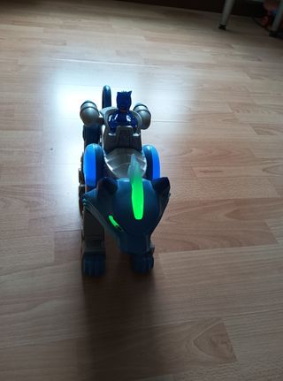 Tigre / gato pj mask