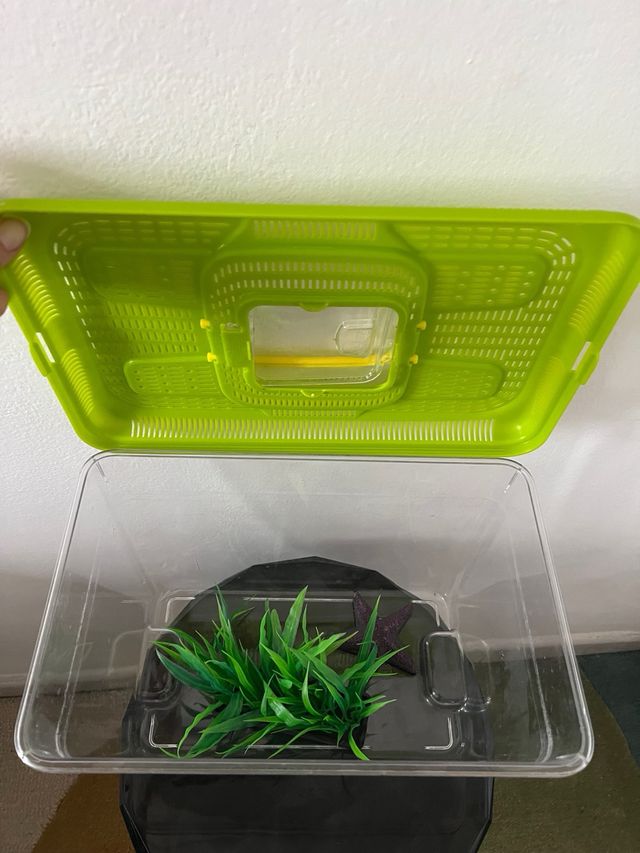 Acquario con accessori