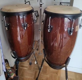 Magnate del Congas