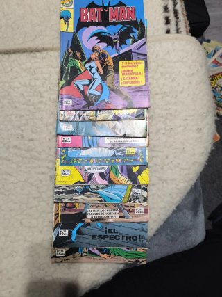 Batman Año 79