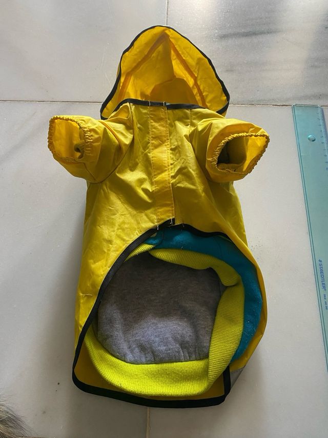 Chubasquero perro conjunto