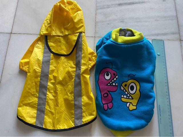 Chubasquero perro conjunto